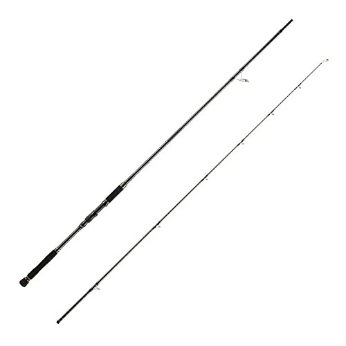 2020年コスパ最高！おすすめショアジギングロッドランキング！ - 越前